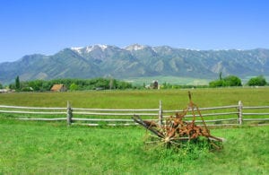 Property Insurance