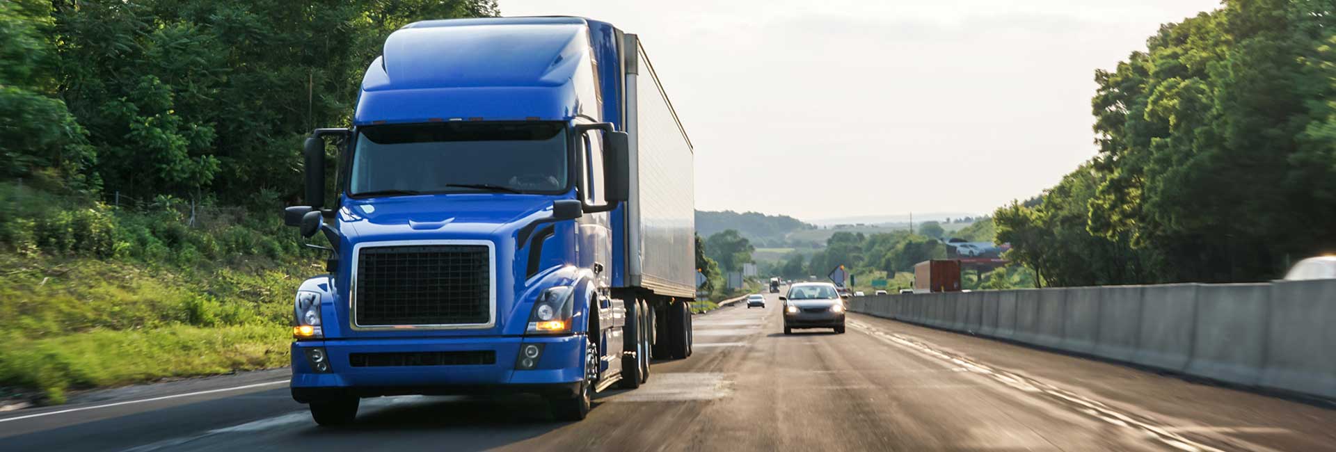 Commercial Liability Insurance